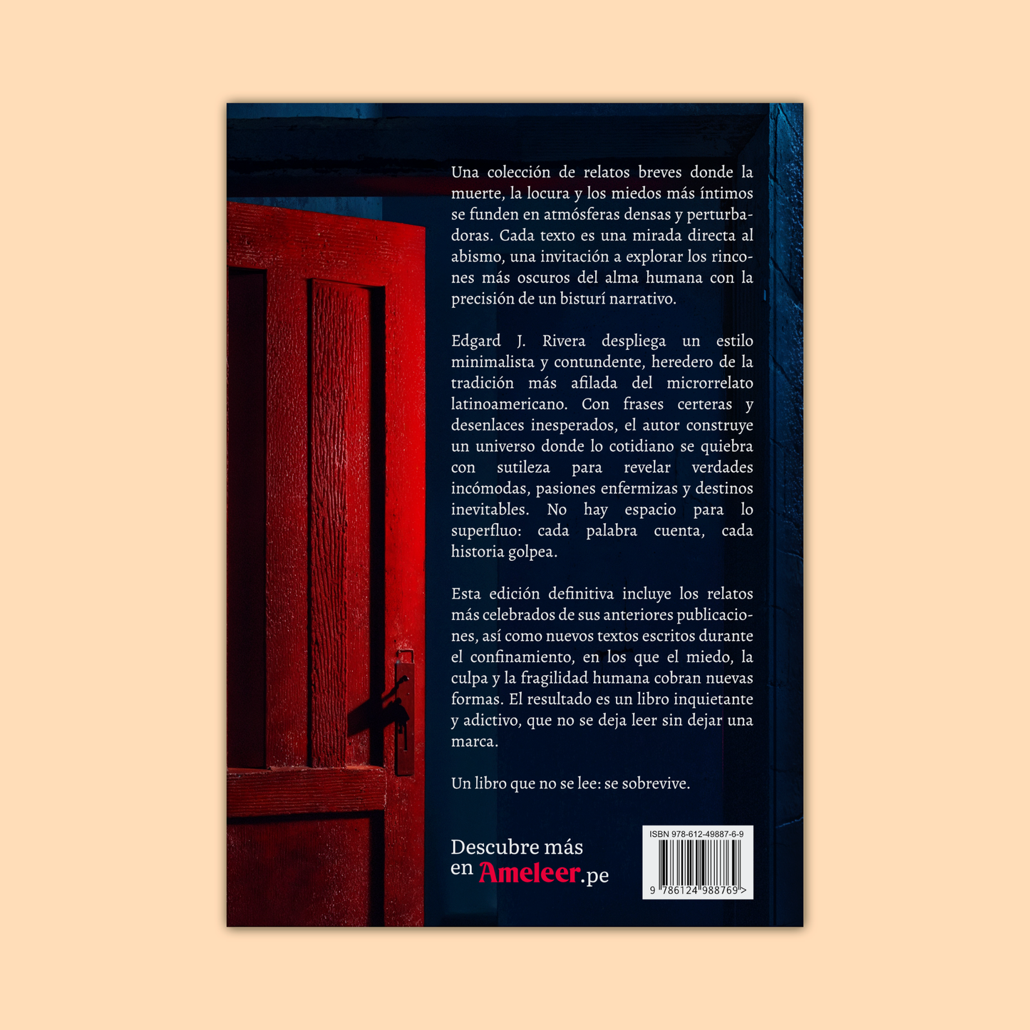 Habitación suspendida (tapa rústica)
