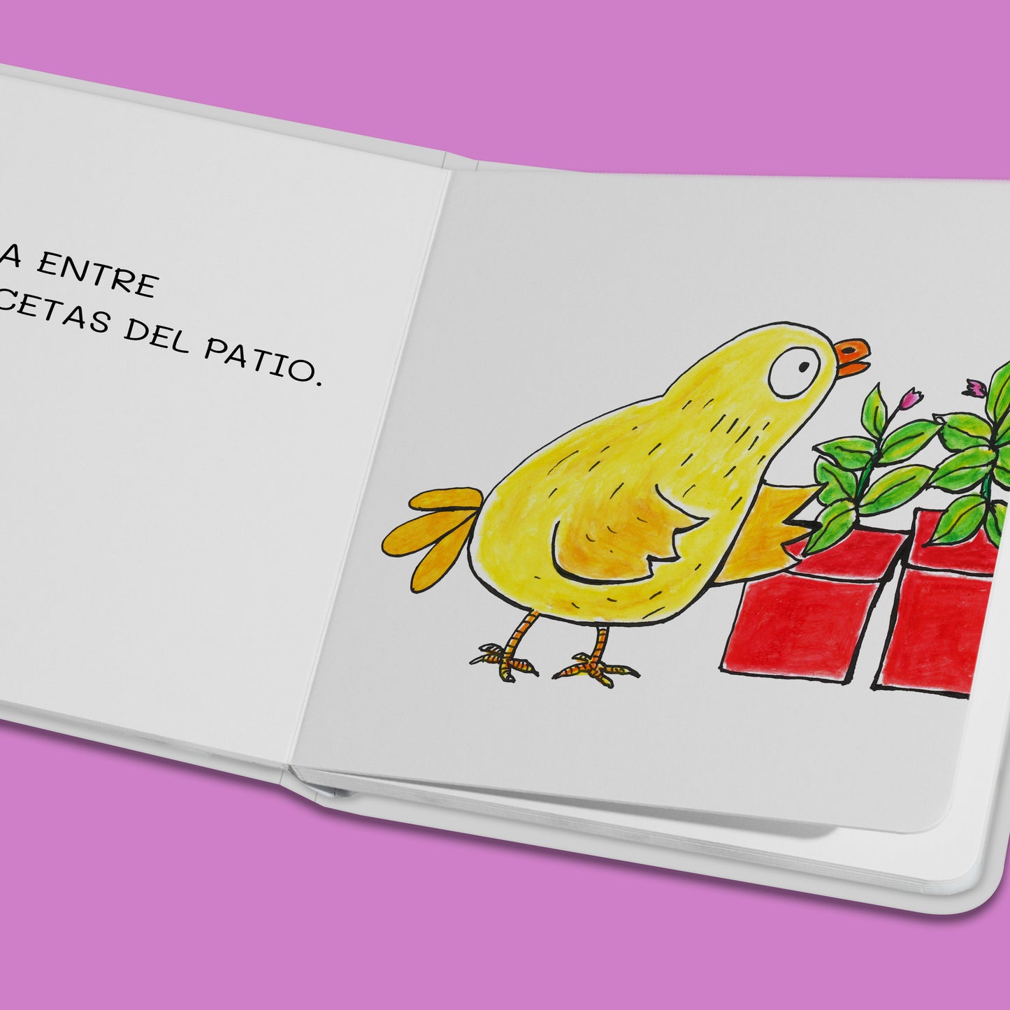 El paseo de Pipo